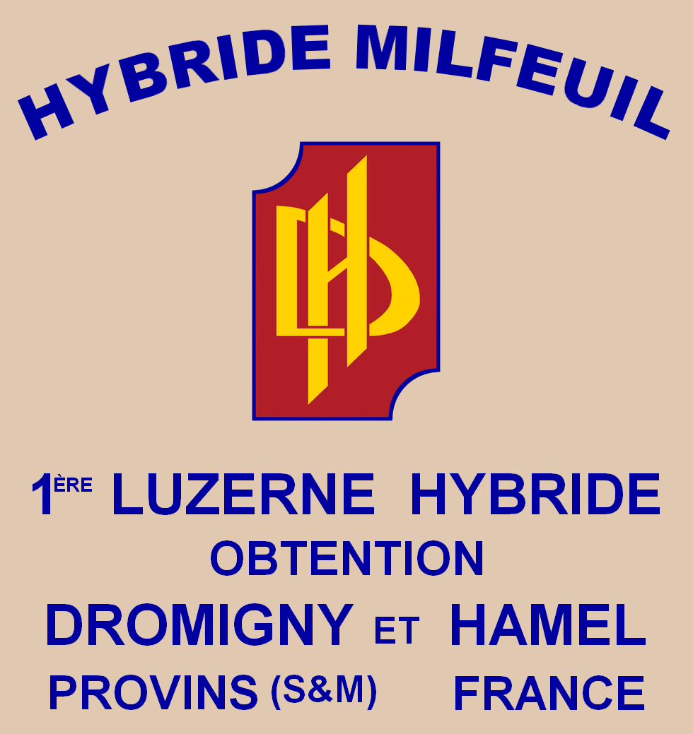 Luzerne Hybride MILFEUIL Dromigny et Hamel Provins