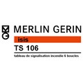 Logo Merlin-Grin